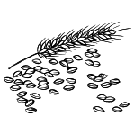 Malz